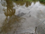 Multiple Culvert Crossing, Fort Fairfield, Maine