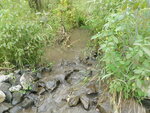 Culvert Crossing, Fort Fairfield, Maine