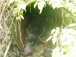 Culvert Crossing, Fort Fairfield, Maine