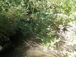 Culvert Crossing, Fort Fairfield, Maine