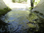 Multiple Culvert Crossing, Merrit Brook, Presque Isle, Maine