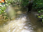 Multiple Culvert Crossing, Merrit Brook, Presque Isle, Maine