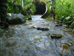 Culvert Crossing, Bishop Brook, Presque Isle, Maine