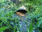 Multiple Culvert Crossing, Bishop Brook, Presque Isle, Maine