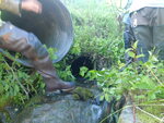 Multiple Culvert Crossing, Bishop Brook, Presque Isle, Maine