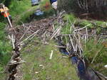 Culvert Crossing, Cyr Plt, Maine
