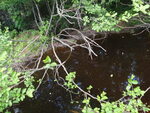Culvert Crossing, Cyr Plt, Maine