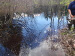 Culvert Crossing, Cyr Plt, Maine