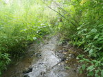 Culvert Crossing, Fort Fairfield, Maine