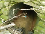 Culvert Crossing, Fort Fairfield, Maine