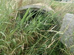 Culvert Crossing, Fort Fairfield, Maine