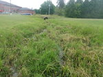 Culvert Crossing, Fort Fairfield, Maine
