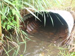 Culvert Crossing, Castle Hill, Maine