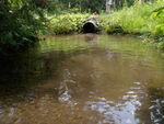 Culvert Crossing, Stockholm, Maine