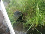 Culvert Crossing, Perham, Maine