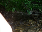 Culvert Crossing, Caribou, Maine