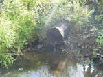 Culvert Crossing, Washburn, Maine