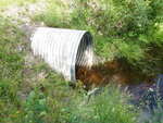 Culvert Crossing, Washburn, Maine