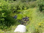 Culvert Crossing, Washburn, Maine