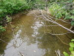 Culvert Crossing, Presque Isle, Maine