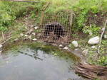 Culvert Crossing, Fort Fairfield, Maine