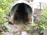 Culvert Crossing, Presque Isle, Maine