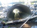Culvert Crossing, Fling Brook, Easton, Maine