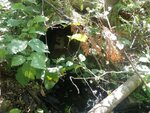 Culvert Crossing, Easton, Maine