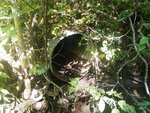 Culvert Crossing, Easton, Maine