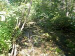 Culvert Crossing, Easton, Maine