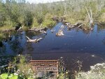 Culvert Crossing, Easton, Maine