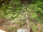 Culvert Crossing, Caswell, Maine