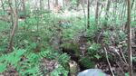 Culvert Crossing, Lowelltown Twp, Maine