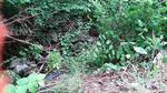 Multiple Culvert Crossing, Turner, Maine