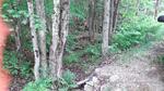 Multiple Culvert Crossing, Turner, Maine