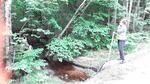 Multiple Culvert Crossing, Turner, Maine