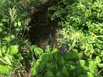 Culvert Crossing, Turner, Maine