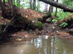 Culvert Crossing, Greenwood, Maine