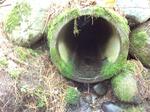 Culvert Crossing, Greenwood, Maine