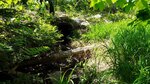 Multiple Culvert Crossing, Parlin Pond Twp, Maine