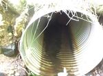 Culvert Crossing, Jay, Maine