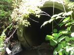 Culvert Crossing, Jay, Maine