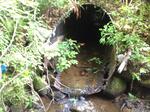 Culvert Crossing, Jay, Maine