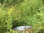 Culvert Crossing, Bethel, Maine