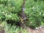 Culvert Crossing, Bethel, Maine