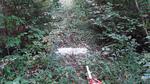 Removed Crossing, T13 R12 WELS, Maine