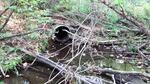 Removed Crossing, T13 R12 WELS, Maine