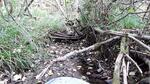 Removed Crossing, T13 R12 WELS, Maine