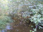 Culvert Crossing, Eagle Lake Twp, Maine