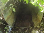 Culvert Crossing, T7 R11 WELS, Maine